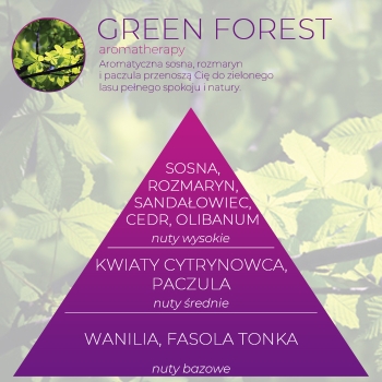 <B>GREEN FOREST</B> SPRAY 250 ml odświeżacz powietrza PREMIUM